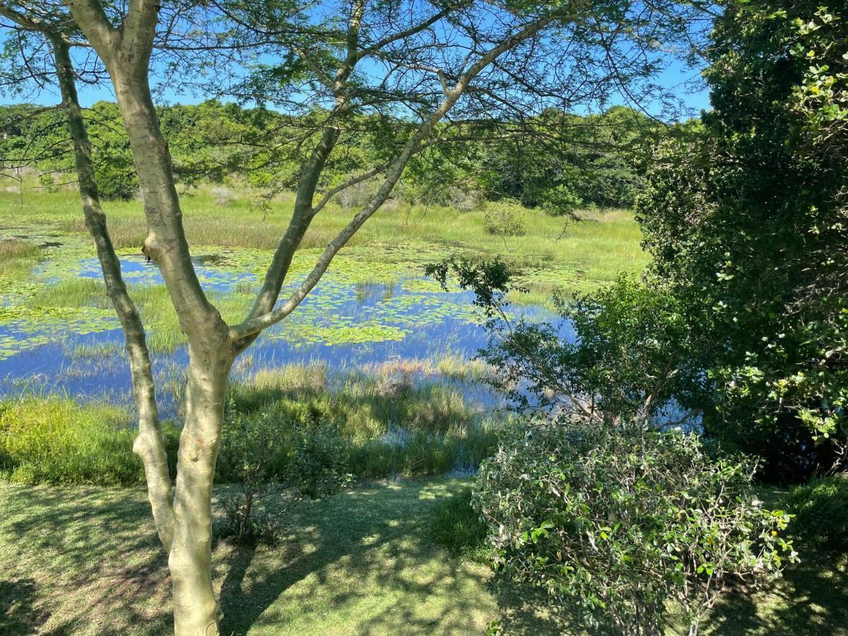 Nkumbe Bush Retreat Family Home Ponta Malongane 外观 照片