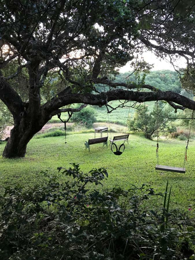 Nkumbe Bush Retreat Family Home Ponta Malongane 外观 照片